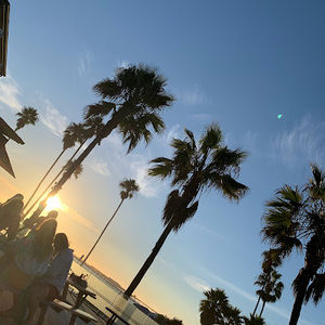 Meet your Posher, Louisjon